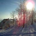 Go to the photogallery